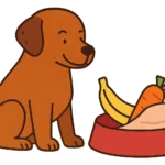 Ilustración de un perro junto a un platro rojo que contiene una banana, una zanahoria y un trozo de carne cocina sin hueso. Imagen representativa de alimentos naturales permitidos para perros