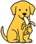 Perro comiendo una banana como parte de su alimentacion natural