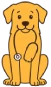 Perro golden retriever con estetoscopio representando salud y cuidados veterinarios