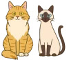 Ilustración de un gato Maine Coon y un gato Siamés sentados juntos, representando razas populares de gatos