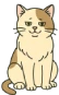 Gato mayor blanco y marrón con expresión serena, ideal para ilustrar cuidados en la vejez felina
