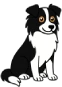 Perro Border collie de tamaño mediano sentado, ideal como perro de compañia activo y equilibrado