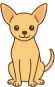 Ilustración de un perro Chihuahua pequeño: raza mini ideal para espacios reducidos y compañia