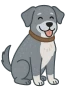 Perro mayor gris con canas feliz: cuidados y bienestar en la vejez canina