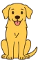 Labrador Retriever amigable ideal para niños: raza de perro familiar, juguetona y cariñosa