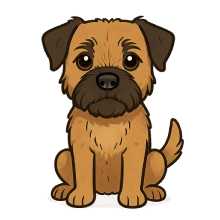 Ilustración en estilo caricatura de un Border Terrier sentado, mirando de frente, con expresión amigable y fondo transparente