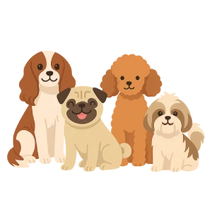 Ilustración de cuatro razas de perros de compañía: Cavalier King Charles Spaniel, Pug, Toy Poodle y Shih Tzu, sobre fondo blanco. Imagen representativa de razas pequeñas y afectuosas ideales para compañía."