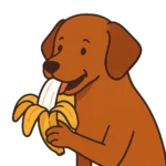 Ilustración de un perro marrón comiendo banana, estilo caricatura. Imagen destacada del artículo sobre si los perros pueden comer banana