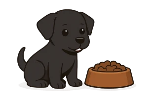 Ilustración de un cachorro negro comiendo en su plato, ideal para representar la alimentación diaria de los cachorros según su edad y tamaño.