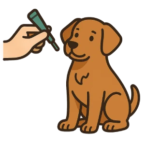 Ilustración de un perro con collar siendo examinado para pulgas y garrapatas. Imagen representativa sobre la desparasitación interna y externa en perros.