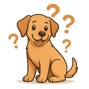 Ilustración de un perro pensativo sobre fondo transparente. Imagen representativa de dudas comunes sobre los cuidados y salud del perro.