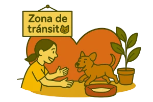 Ilustración de un perro en un hogar de tránsito. Imagen para entrada sobre qué tener preparado antes de recibir un animal en tránsito.