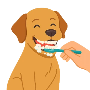 Ilustración de un perro marrón siendo cepillado en los dientes por una persona. Imagen representativa de salud bucal y cuidados dentales en perros