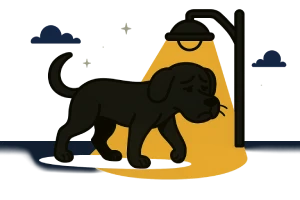 Caricatura de un perro negro callejero con rasgos definidos (hocico largo, orejas caídas) caminando de noche bajo la luz tenue de un farol, transmitiendo nostalgia y soledad