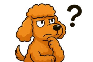 Ilustración caricaturesca de un caniche apricot, con expresión pensativa y una pata en el mentón, sobre fondo blanco. Ideal para representar dudas o curiosidad en contenido sobre perros.