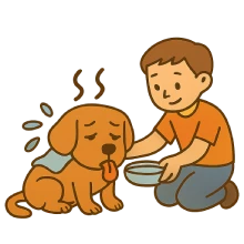 Caricatura educativa de una persona asistiendo a un perro decaído por golpe de calor: el perro está sentado, con expresión cansada, mientras recibe agua y un paño húmedo aplicado con calma. Fondo transparente.