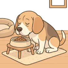 Ilustración didáctica de un perro Beagle mayor comiendo tranquilo de un plato elevado, sobre alfombra antideslizante, con cama mullida cerca. El entorno hogareño transmite comodidad, seguridad y cuidado adaptado a su edad.