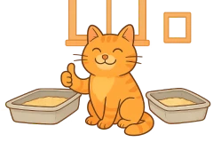 Ilustración en caricatura de un gato levantando el pulgar junto a dos cajas de arena, representando la cantidad adecuada de cajas de arena para un gato.