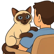 Ilustración en caricatura de un gato siamés apoyado cerca de una persona, representando su carácter cariñoso, sociable y apegado al contacto humano.