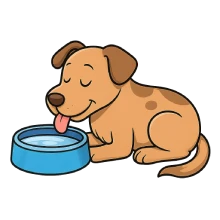 Ilustración educativa en estilo caricatura moderna de un perro mestizo relajado, bebiendo agua fresca de su recipiente. El animal está cómodo y tranquilo, sin signos de estrés, transmitiendo el mensaje de hidratación adecuada para prevenir el golpe de calor. Fondo transparente.